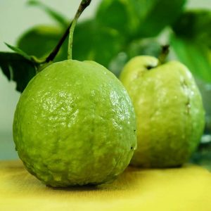 Guava (Baruipur Fresh)
